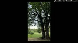 free for nonprofit clay10 444jet plugg type beat prod deporablev nopeoutnow