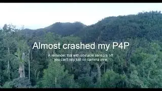 Almost crashed my drone - close encounter with a tree