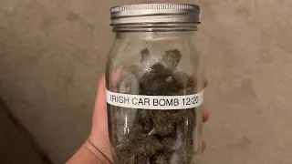 Watching The Grass Grow Episode #5 QC On Some Irish Car Bomb Ft. Mrs.Space City! Lit Farms Genetics!