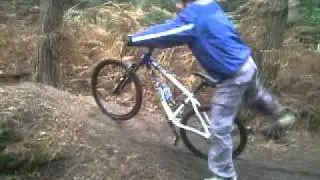 Adrian Willis