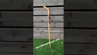integral  handle olive wood cane . 3-23 ,light strong and matural