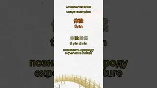体验 / словосочетания с 体验 / usage examples