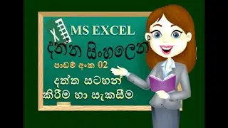 excel data enter |MS excel |excel Sinhala tutorial | 2020 | excel for beginner (clear explanation)