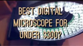 Hayear HY-5130 Digital Microscope - Is this the best low budget digital microscope you can buy?