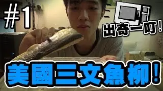 出奇一叮! #1 美國三文魚柳!