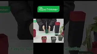 🌿 The Ultimate Plant Transport Tray-Secure & Efficient Pot Moving Solution!  #diygarden #rootrimmer