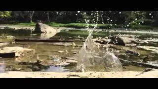 Side Cut Metropark Adventure!