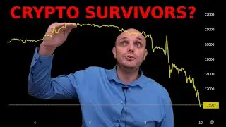 Crypto Extinction Event!!
