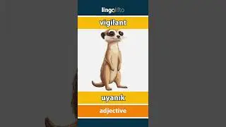 🇬🇧🇹🇷 vigilant - uyanık : learn English : İngilizce &ouml;ğrenelim : vocabulary builder