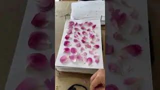 Where timeless elegance meets the delicate art of preservation. #peony #art #pressedflowerart
