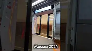 Вот так закрываются двери в поездах метро #megaligatransport #никитапутилов