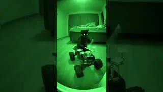He's in full-on hunter mode! 😼