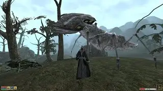 Gothic bugs that Morrowind did better