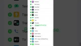 How to Always allow apps on iPhone 13 Pro Max?