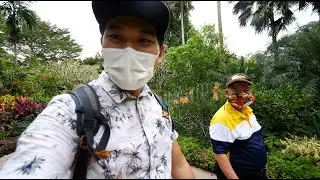Visiting Singapore's ONLY World Heritage | Botanic Gardens 🌼