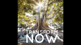 Transform the Now: Observe The Mind