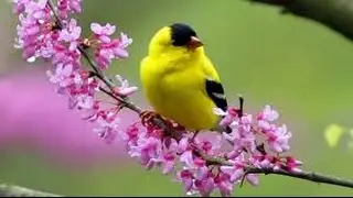 UNIQUE, PERSONALIZED GIFTS VIDEO CATALOGUE