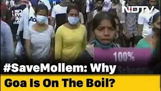 Reality Check | #SaveMollem: Why There Is Public Anger In Goa Against Increasing Coal Imports