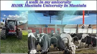 A walk in my university #HAMKuniversity #hamko