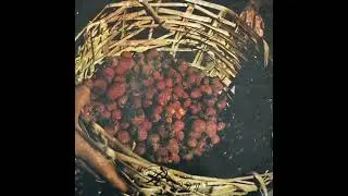 Julito da Vila &ldquo;Talamungongo&rdquo; - Mbila Kaiende