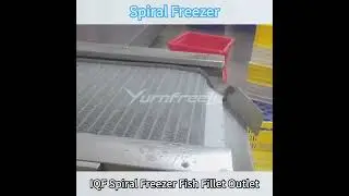 IQF Spiral Freezer Freezing Fish Fillet
