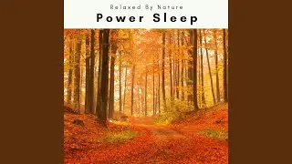 Fresh Wave Brings Sleep Tight and Peace part 2