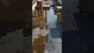На крыше магазина (картина #650) \ Арт-студия Нормова