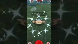 Shiny Stunfisk #PokemonGo #Pokemon #ShinyPokemon #ShinyHunting #JackJohnson