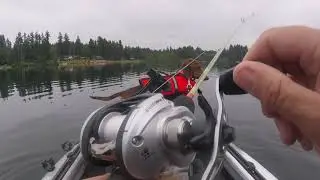 Trout at Deer Lake w Sage