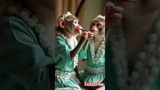 monkey bridal makeup 💄 very cute #bridalmakeup #catlovers #trendingshorts #highcontent#10millionview