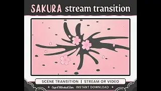 Sakura OBS Transition | Peach Pink Stream Asset for Twitch / YouTube etc (Preview)