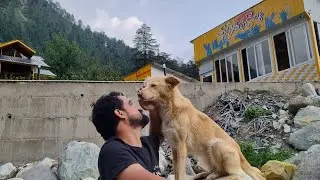 Hosteller Kasol | Hostel in kasol | budget friendly stay in kasol | river view | Parvati valley