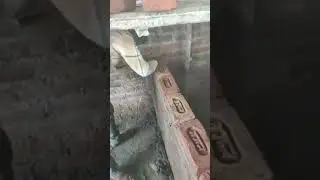 Raza Civil Work is live