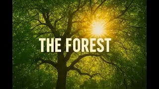 THE FOREST – Cinematic Short Film | Nature B-Roll | @JoshiSagar