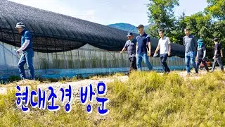 🌟현대조경 방문1🌲🌳🌸