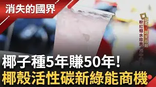 用椰子付租金 種5年賺50年! 