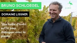 Bruno Schloegel - Domaine Lissner - #1 Dans les Vignes