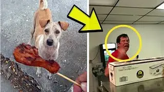 Boy Is Fired for Feeding Hungry Dog, Later Restaurant Owner Learns It Was His Dog