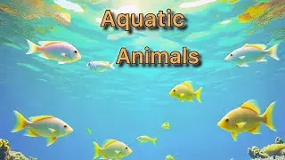 Collection of different sea animals