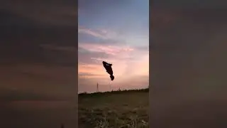 backflip status_#shorts_#video_#stunts_#20021