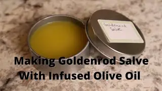 Infusing Olive Oil with Goldenrod and Making a Salve