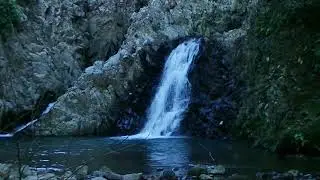 Nature's Waterfall Footage | No Copyright Video | Stock Footage | HD Footage