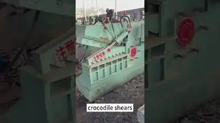 Crocodile Shears
