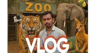 Zoo Vlog 🐯🦁 | Tiger, Elephant & Rare Animals | Full Zoo Tour