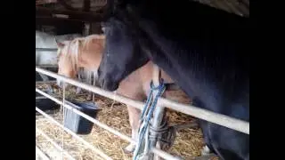 Auch wenn ich einen Teil von dir verliere...