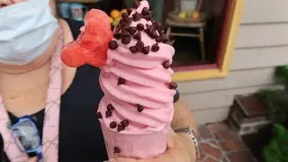 Dole Whip Watermelon Parfait Review! Marketplace Snacks Disney Springs