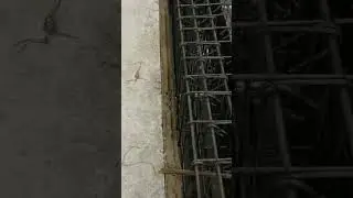 Using Filler Board For Expansion Joint  between Buildings.#shortvideo #shorts #dubai #construction
