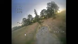 AtomRC Flying Fish Acro Flight