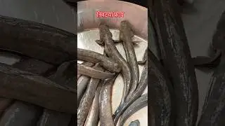 निवटया फ्राय आगरी रेसिपी#कोकण #viral#nivtya#mudskipper#shortfeed #seafood #fish#ytubeshort# #shorts