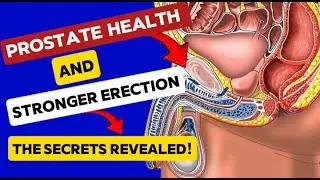 Do This for Prostate Health and Massive Erection Gains (Backed by Science)